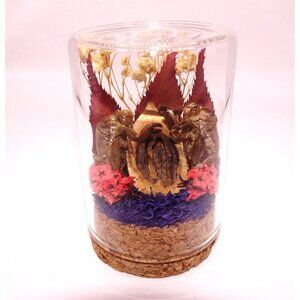 Two Cicada Skins Nut Shell & Dried Flowers Oddity Jar witchy goth taxidermy
